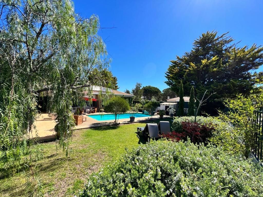 Buganvilias Do Meco Guest House سيسيمبرا المظهر الخارجي الصورة