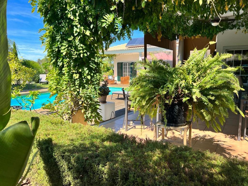 Buganvilias Do Meco Guest House سيسيمبرا المظهر الخارجي الصورة