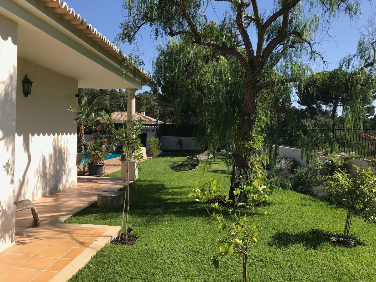 Buganvilias Do Meco Guest House سيسيمبرا المظهر الخارجي الصورة
